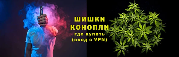 эйфоретик Няндома