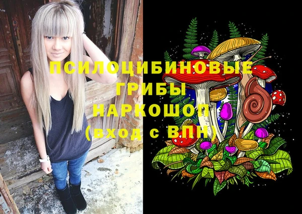 соль ск Остров